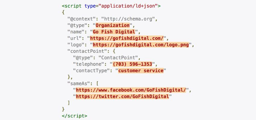 Example of JSON-LD code for structured data implementation, marking up organization details including contact information, social media links, and logo for the business "Go Fish Digital.